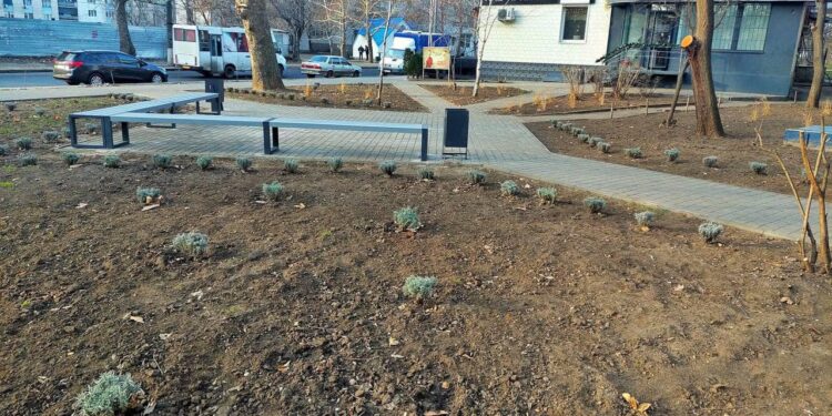 Студенти Миколаївського будівельного коледжу допомогли оновити сквер на Колодязній (ФОТО)