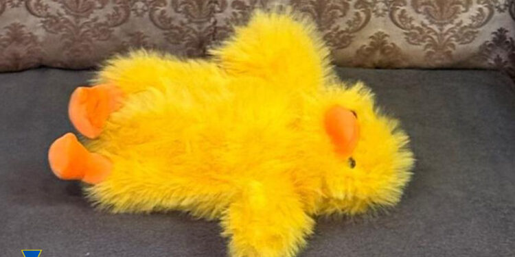 СБУ попередила теракт в Житомирі – вибухівка була в іграшковому каченяті (ФОТО)