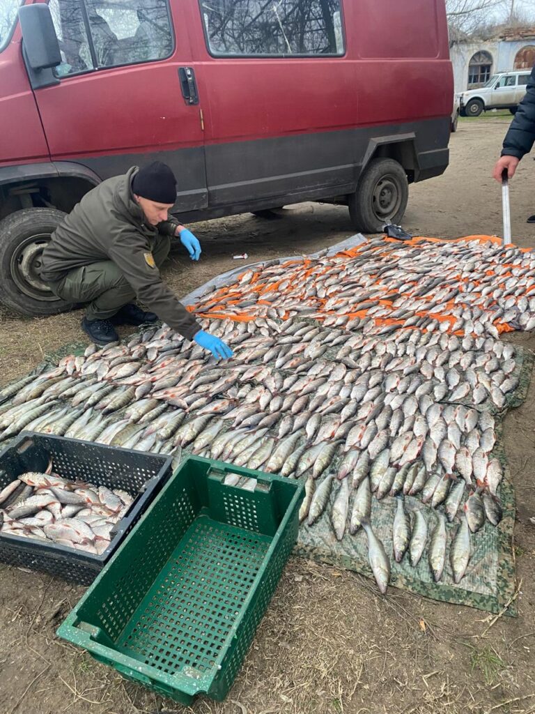 Неподалік Миколаєва впіймали рибного браконьєра – нашкодив природі на 1,3 млн.грн. (ФОТО) 8