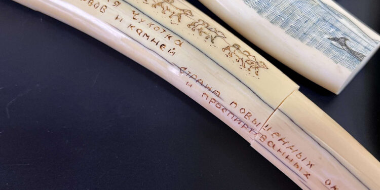 «Прощай, немытая Чукотка…, страна повышенных окладов и проспиртованных людей», – бивні моржа з таким гаслом вилучили митники (ФОТО)