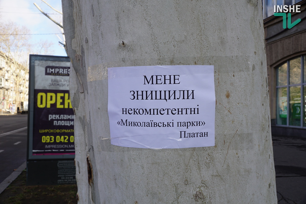 Мешканці Миколаєва вийшли на захист платанів від варварської обрізки (ФОТО, ВІДЕО) 16