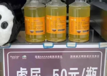 7 доларів за пляшку: зоопарк продає тигрову сечу як “ліки” від ревматизму (ФОТО)