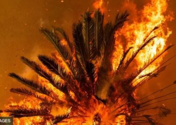 Чому Лос-Анджелес горить найсильніше за всю історію і що буде далі (ФОТО)