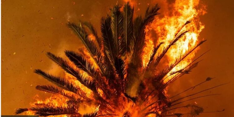 Чому Лос-Анджелес горить найсильніше за всю історію і що буде далі (ФОТО)