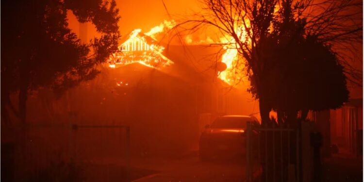 У Трампа-мл і Маска знову Україна винна – тепер в пожежах в Каліфорнії