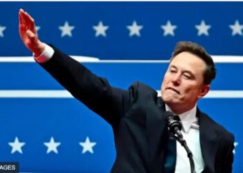 Та пішли ви зі своїм Гітлером, – Маск прокоментував своє зігування на інавгурації Трампа (ВІДЕО)