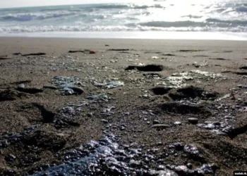 Мазут із затонулих російських танкерів може дістатись Одеси та Миколаєва