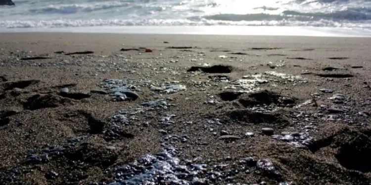 Мазут із затонулих російських танкерів може дістатись Одеси та Миколаєва