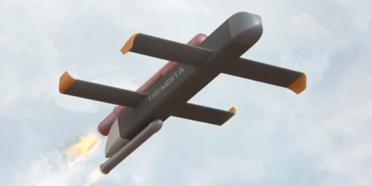 Про “Трембіту” і не тільки. Як Україна готується залишитися без допомоги США