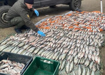 Неподалік Миколаєва впіймали рибного браконьєра – нашкодив природі на 1,3 млн.грн. (ФОТО)