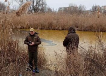 Держекоінспекція про розлив олії в Миколаєві: площа забруднення – понад 16 тис.кв.м, товщина шару на окремих ділянках – 10 см