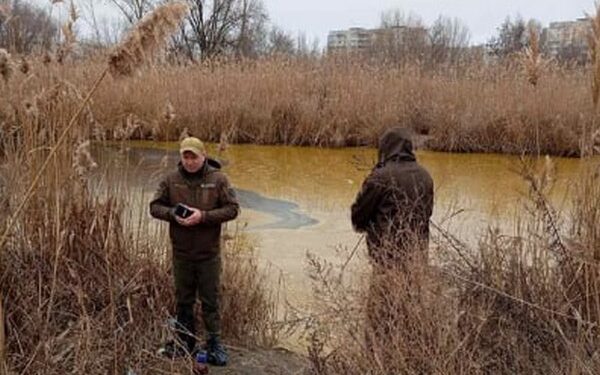 Держекоінспекція про розлив олії в Миколаєві: площа забруднення – понад 16 тис.кв.м, товщина шару на окремих ділянках – 10 см