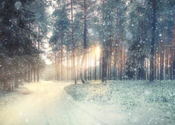 М’який початок лютого: прогноз погоди на перші вихідні місяця