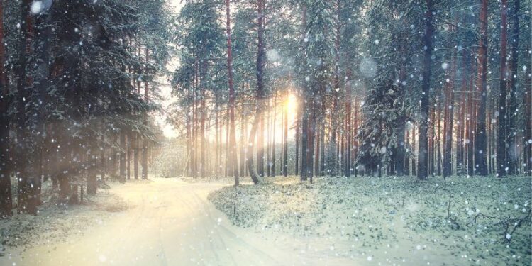 М’який початок лютого: прогноз погоди на перші вихідні місяця