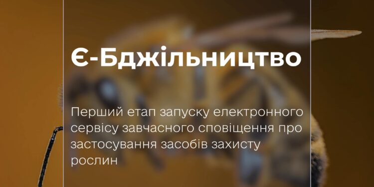 Мінагрополітики запускає перший етап системи «Є-Бджільництво»