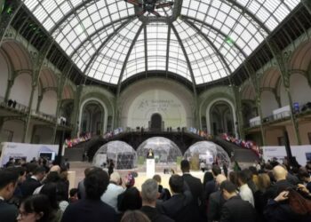 Саміт ШІ у Парижі: потрібна регуляція та гендерна рівність