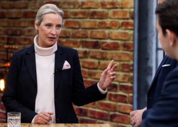 Лідерка німецької AfD заявила, що прагне відносин із «великою» Росією