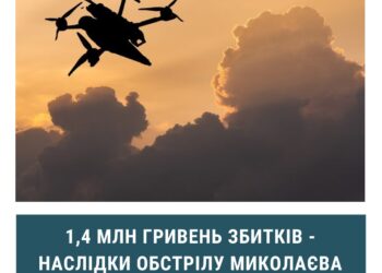 ДЕІ підрахувала шкоду природі внаслідок дронової атаки на Миколаїв 21 січня – 1,4 млн.грн.