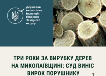 На Миколаївщині один з «чорних лісорубів» отримав три роки в’язниці – суди тривали понад два роки