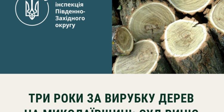 На Миколаївщині один з «чорних лісорубів» отримав три роки в’язниці – суди тривали понад два роки