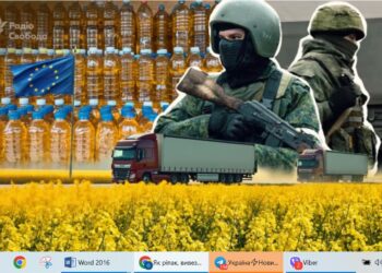 Білорусь продає в ЄС олію, зроблену з вкраденого в Україні ріпаку (ФОТО, ВІДЕО)