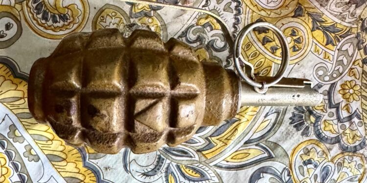 На Миколаївщині п’яний чоловік прийшов до сусідки сваритись із гранатою (ФОТО)