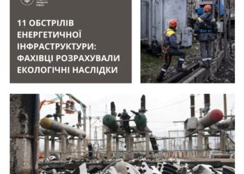 Шкода природі внаслідок російських обстрілів об’єктів енергетики на Миколаївщині склала 1,7 млн.грн. І це тільки у 2022-2023 роках