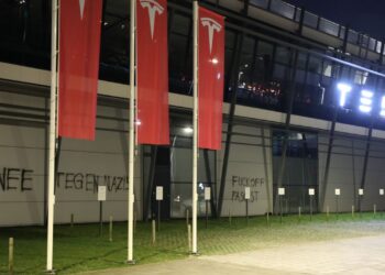 Автосалон Tesla в Гаазі розмалювали свастиками і гаслами