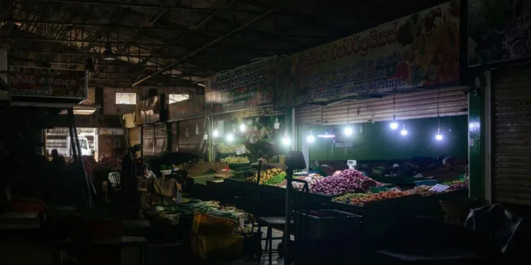 Не з гранатою, але. На Шрі-Ланці мавпа спричинила глобальний блекаут