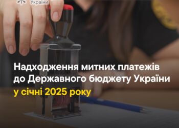 За січень Миколаївська митниця спрямувала до держбюджету понад 204 млн.грн. митних платежів