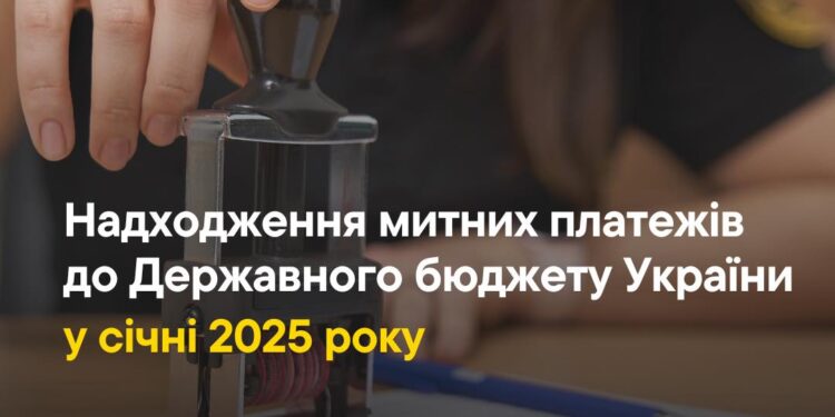 За січень Миколаївська митниця спрямувала до держбюджету понад 204 млн.грн. митних платежів