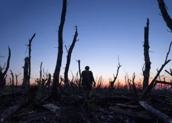 Український режисер Чернов отримав нову престижну нагороду після “Оскара”
