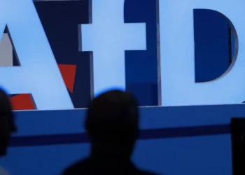 Партію “Альтернатива для Німеччини” підозрюють у прихованому фінансуванні перед виборами
