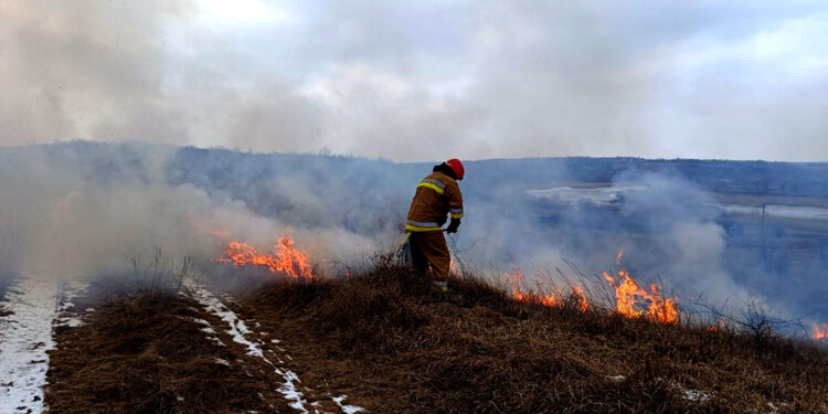 За добу на Миколаївщині спалахнуло 7 пожеж