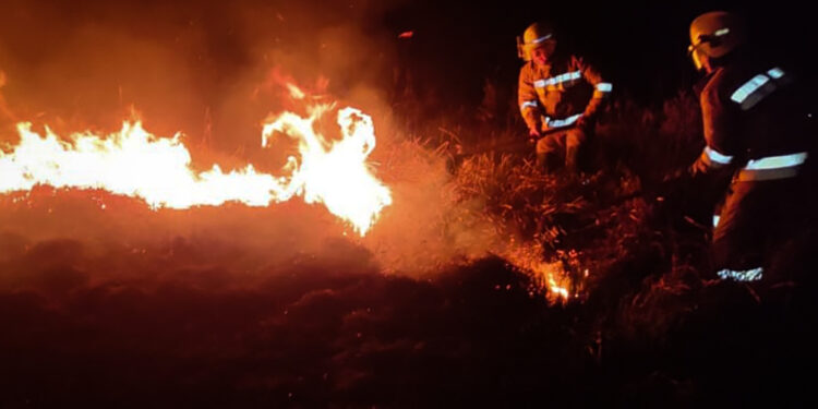 Минулої доби на Миколаївщині виникло 10 пожеж – що гасили, кого врятували (ФОТО)
