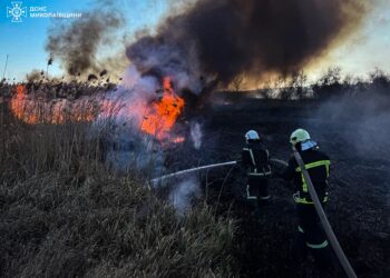 У Вознесенську палало 4,5 га очерету – рятувальникам Миколаївщини вдалося відбити вогонь від житла (ФОТО)