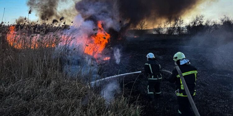 У Вознесенську палало 4,5 га очерету – рятувальникам Миколаївщини вдалося відбити вогонь від житла (ФОТО)