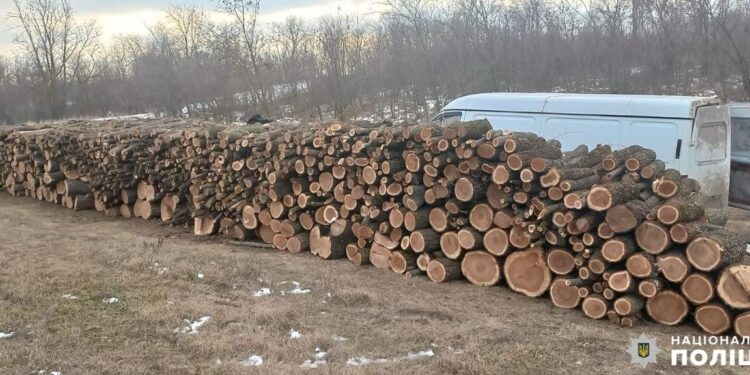 На Миколаївщині “чорні лісоруби” нарубали дров на 400 тисяч гривень