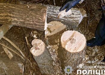На Миколаївщині затримана ще одна група «чорних лісорубів» – нанесла шкоду на майже мільйон гривень (ФОТО)