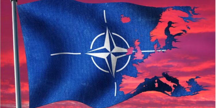 Трамп готовий разом з Путіним боротися проти «вірусу пробудженого розуму» – і вивести війська з Балтії