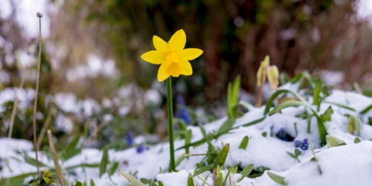 Весна на старті: мінлива погода, опади та температурні контрасти
