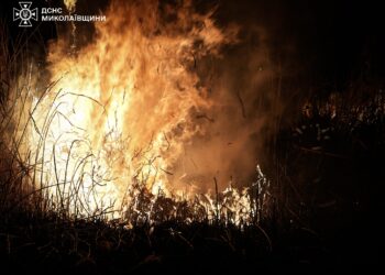 Вогняний апокаліпсис руками людей – за добу на Миколаївщині вигоріло 47 га відкритих територій (ФОТО)