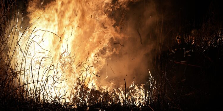 Вогняний апокаліпсис руками людей – за добу на Миколаївщині вигоріло 47 га відкритих територій (ФОТО)