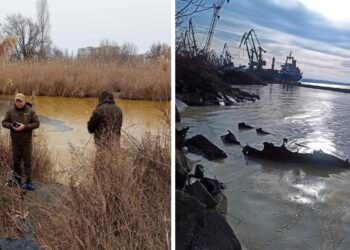 В ДЕІ підрахували шкоду від забруднення узбережжя Бузького лиману у Миколаєві внаслідок руйнування «шахедом» резервуару з олією