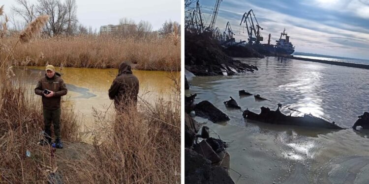 В ДЕІ підрахували шкоду від забруднення узбережжя Бузького лиману у Миколаєві внаслідок руйнування «шахедом» резервуару з олією