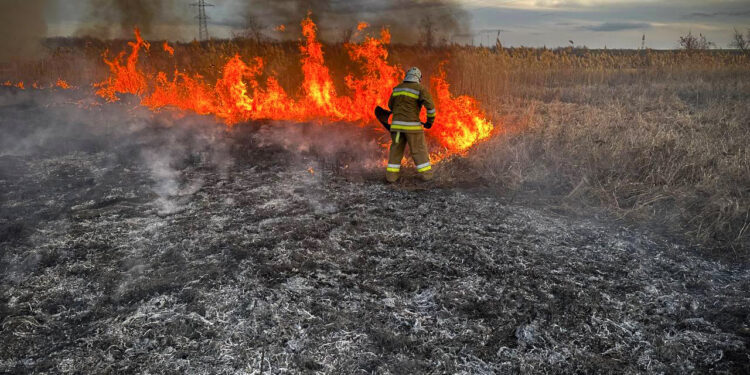 Дві пожежі в Миколаєві і 18 в екосистемах області – що гасили протягом доби (ФОТО)