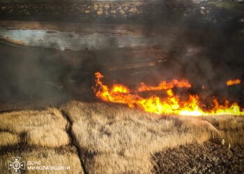 Минулої доби на Миколаївщині вигоріло 55 га відкритих територій – були пожежі і в заповідному фонді (ФОТО)