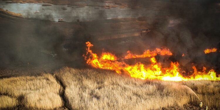 Минулої доби на Миколаївщині вигоріло 55 га відкритих територій – були пожежі і в заповідному фонді (ФОТО)