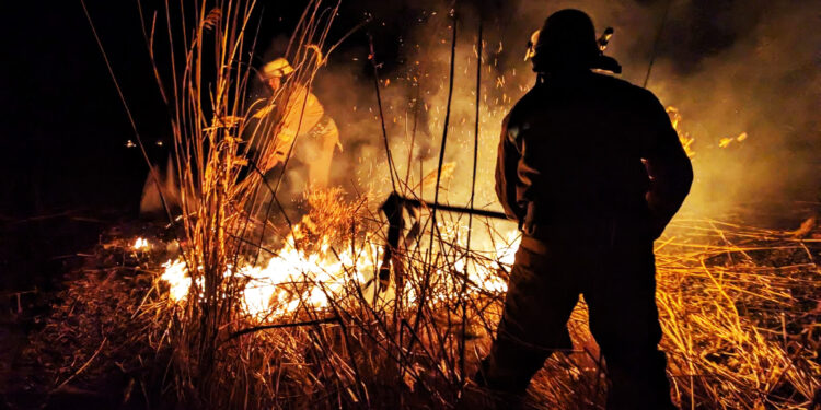 На Миколаївщині протягом доби вигоріло 12 га відкритих територій (ФОТО)