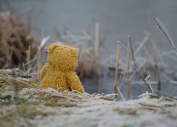 Швеція запускає національний план боротьби з самотністю